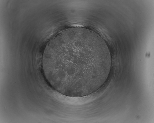 X0000091340030200708171420