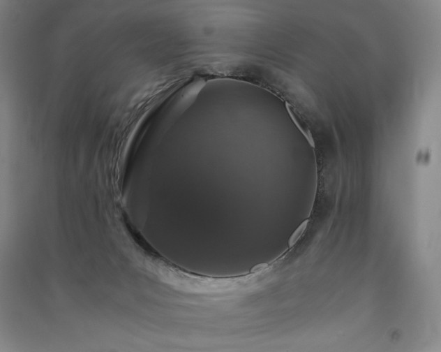 X0000091340031200708171420