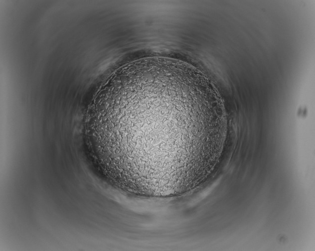 X0000091340032200708171420