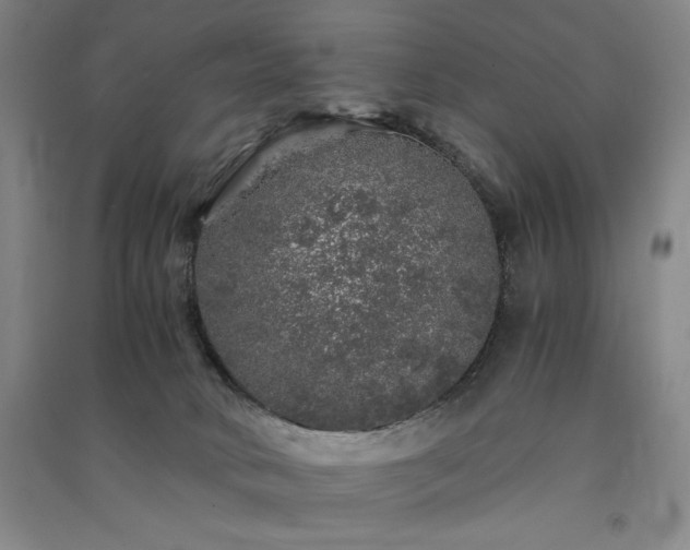 X0000091340034200708171420