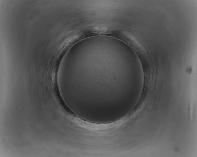 X0000091340035200708171419