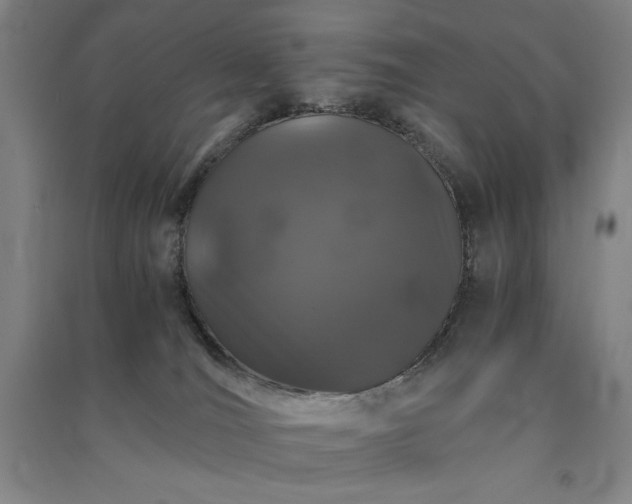 X0000091340036200708171419