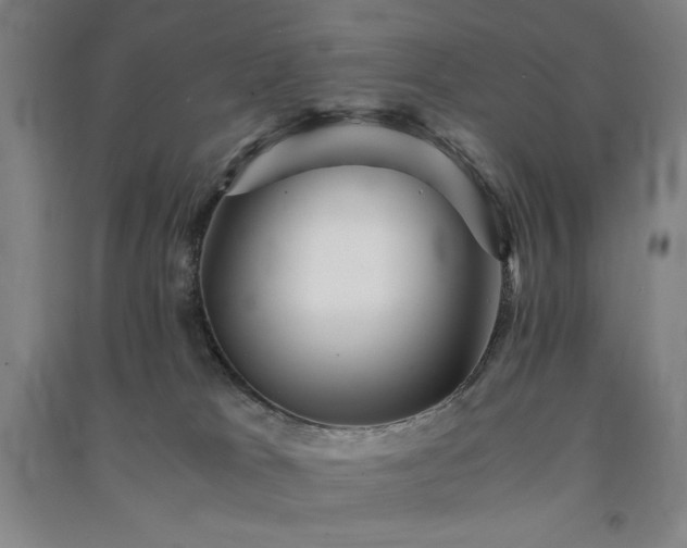 X0000091340037200708171419