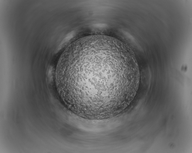 X0000091340038200708171419