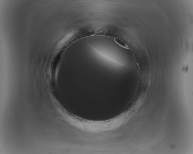 X0000091340039200708171419