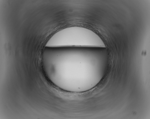 X0000091340040200708171419