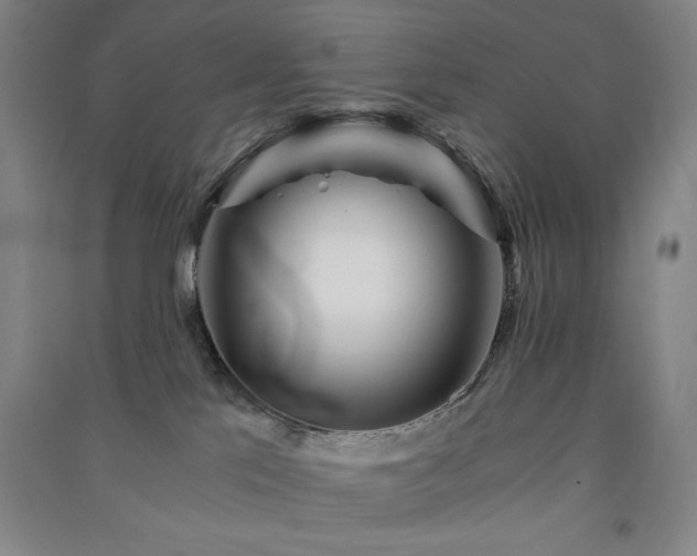 X0000091340041200708171419