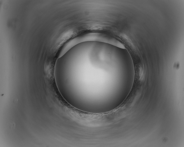 X0000091340044200708171419