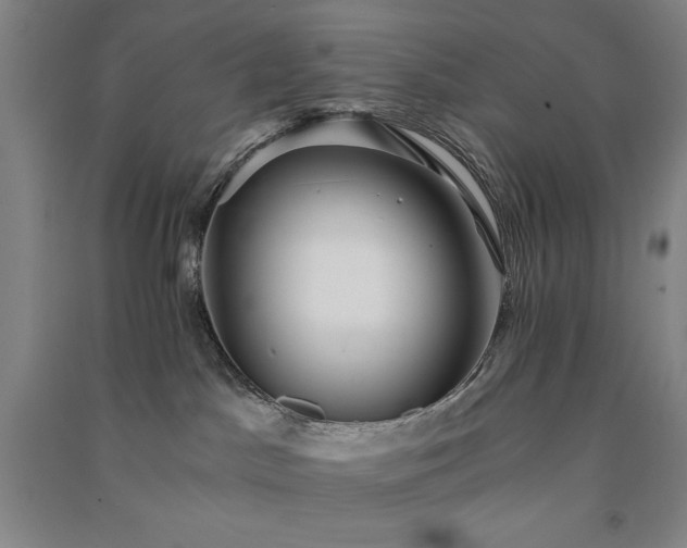 X0000091340045200708171419