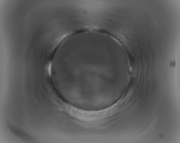 X0000091340047200708171419