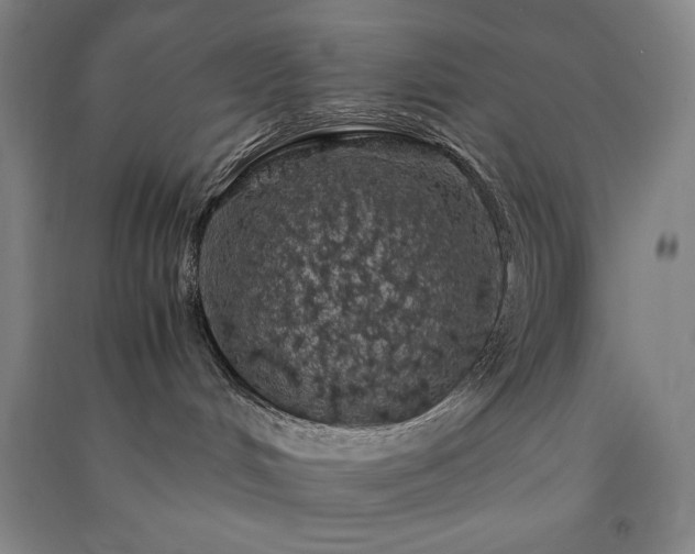 X0000091340048200708171419