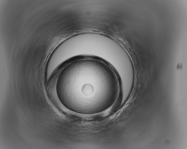 X0000091340049200708171419