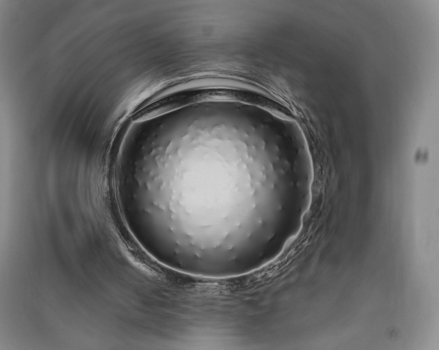 X0000091340050200708171419