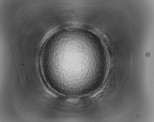 X0000091340051200708171419