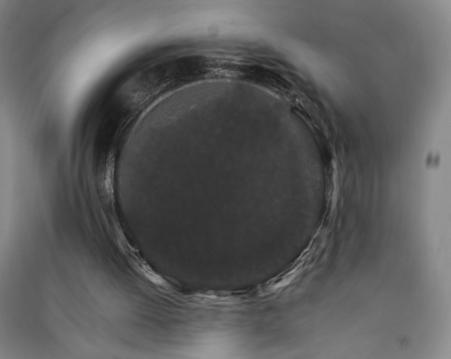 X0000091340052200708171419