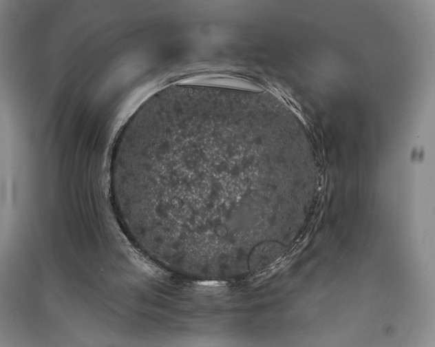 X0000091340053200708171419