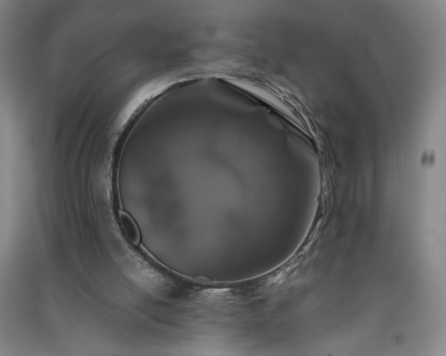 X0000091340054200708171419