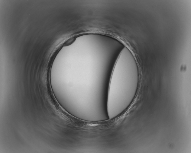 X0000091340055200708171419