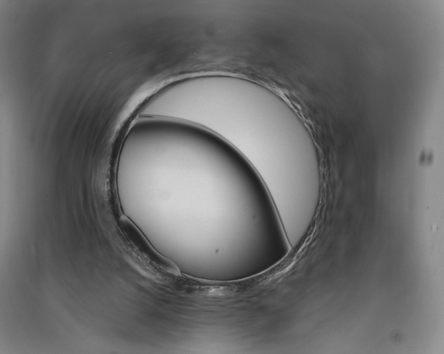 X0000091340056200708171419