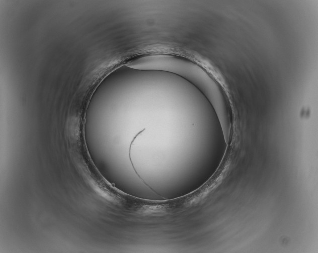 X0000091340057200708171419