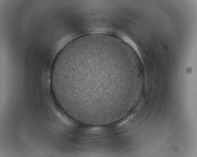 X0000091340059200708171419