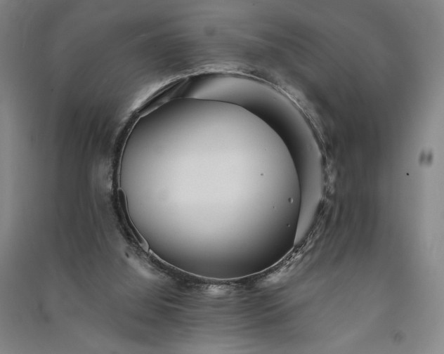 X0000091340060200708171419