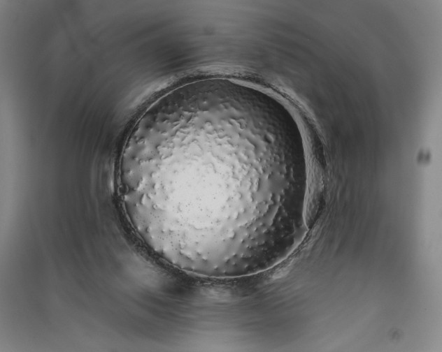 X0000091340062200708171419