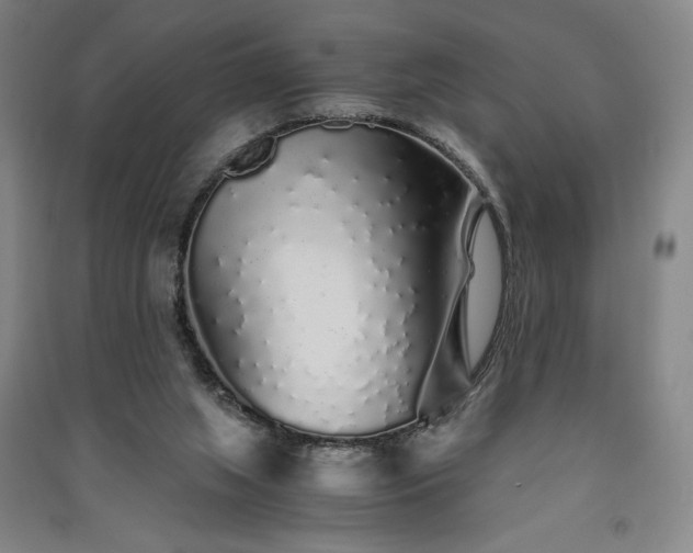 X0000091340063200708171419