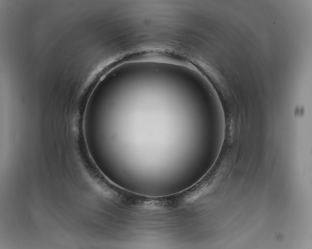 X0000091340064200708171419