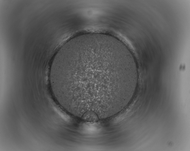 X0000091340065200708171419