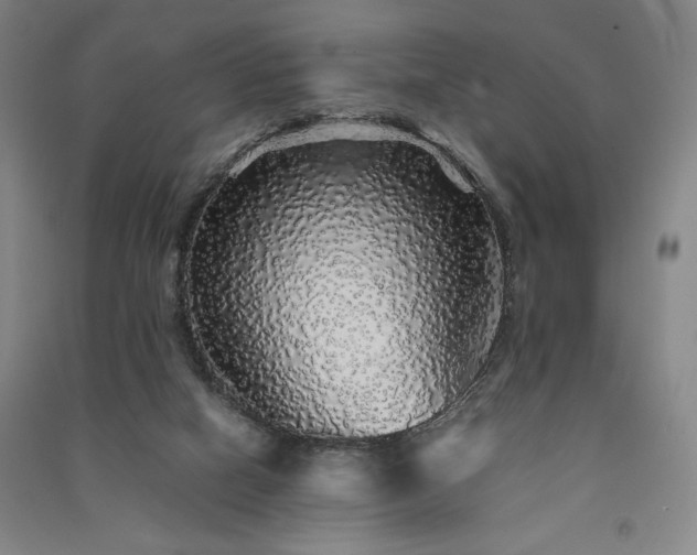 X0000091340066200708171419