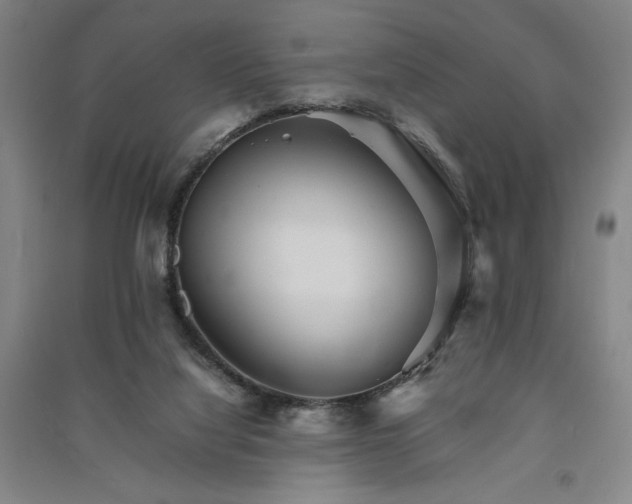 X0000091340068200708171419