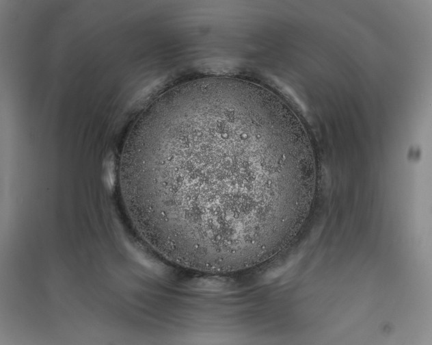 X0000091340069200708171419