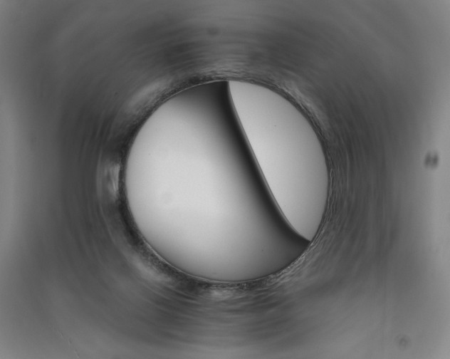 X0000091340070200708171419