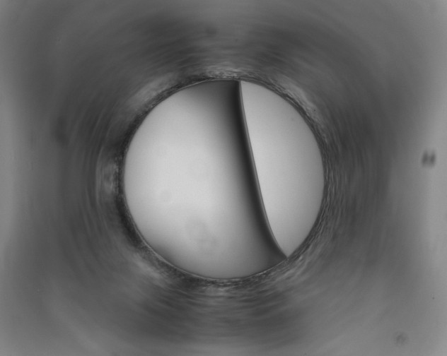 X0000091340071200708171419