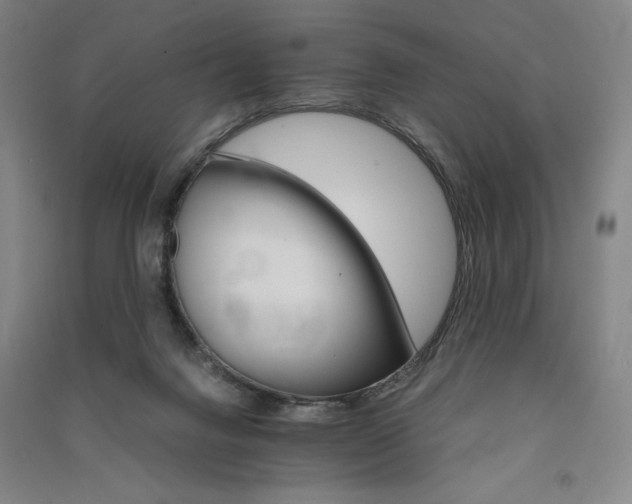 X0000091340072200708171419