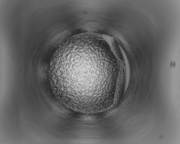 X0000091340073200708171419