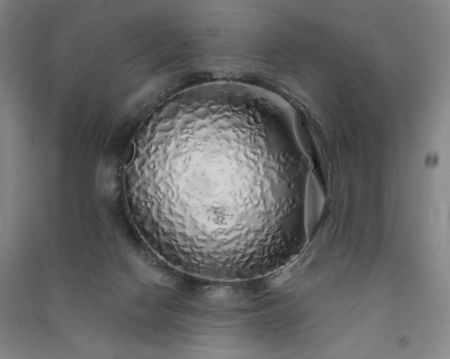 X0000091340074200708171419