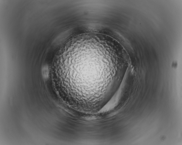 X0000091340075200708171419