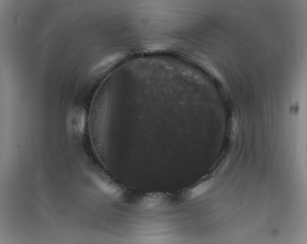 X0000091340076200708171419