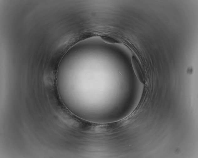 X0000091340078200708171419