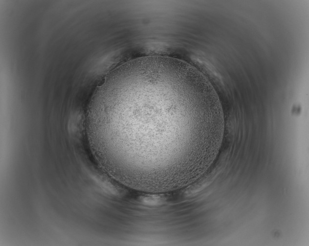 X0000091340079200708171419