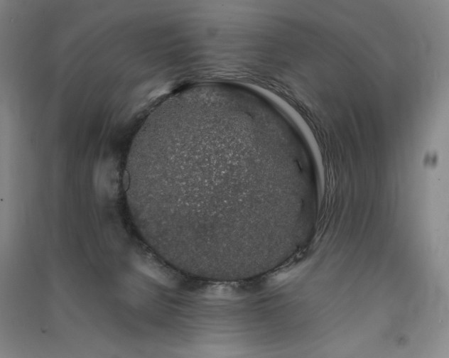 X0000091340080200708171419