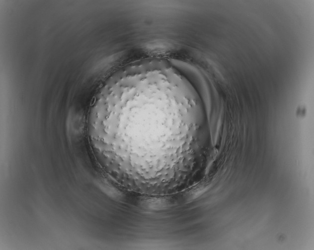 X0000091340081200708171419