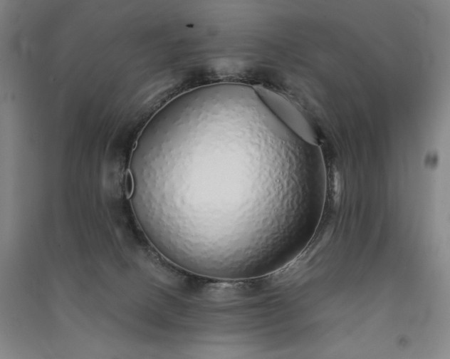 X0000091340082200708171419