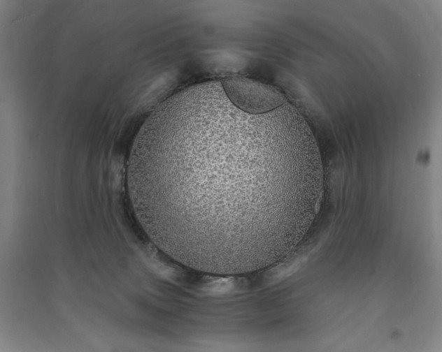 X0000091340083200708171419