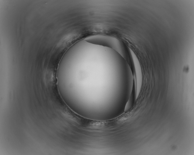 X0000091340084200708171419