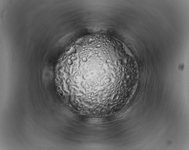 X0000091340085200708171419