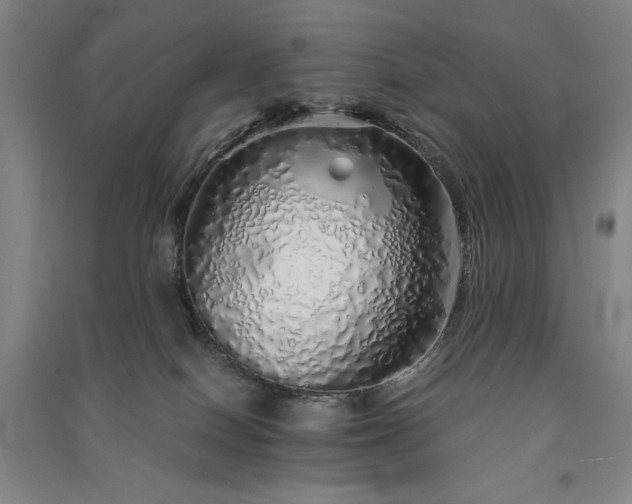 X0000091340086200708171419