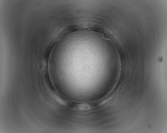 X0000091340087200708171419